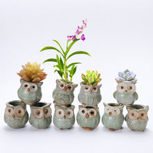 10Pcs/Set Porcelain Animal Flower Pot Series Mini Pots Ornaments Kiln Owl Multi-flower Pots Suit Exquisite Small Home Decoration