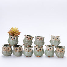10Pcs/Set Porcelain Animal Flower Pot Series Mini Pots Ornaments Kiln Owl Multi-flower Pots Suit Exquisite Small Home Decoration